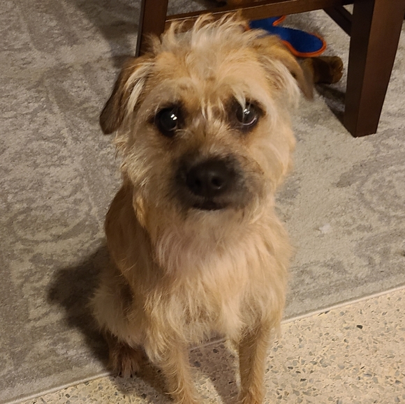 Meet your Posher, Carla - Picture 2 of 2